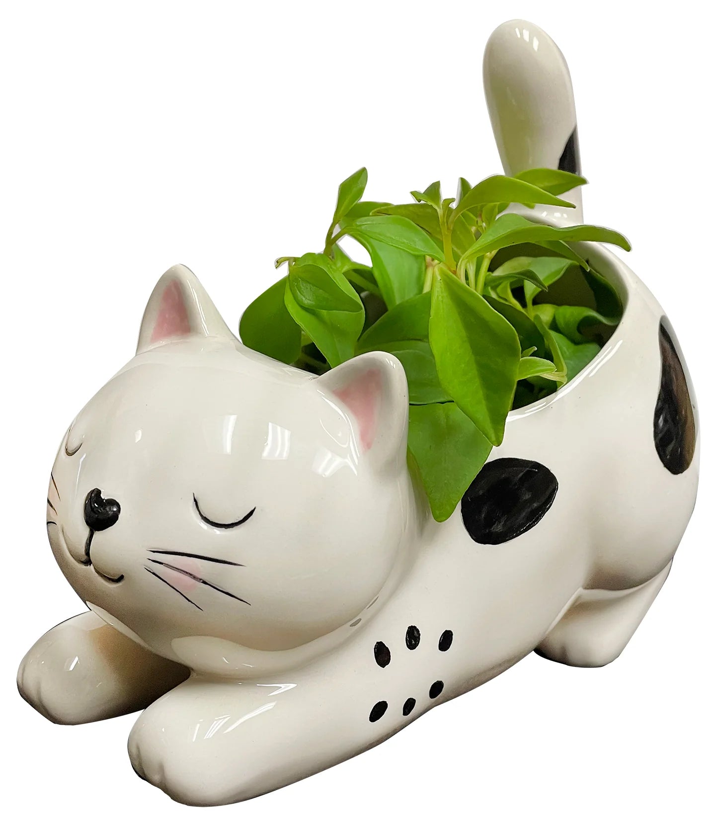 cat pot planter Raise Your Bum Cat Planter